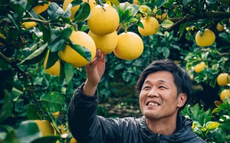 松岡農園 土佐文旦 5kg 家庭用 文旦