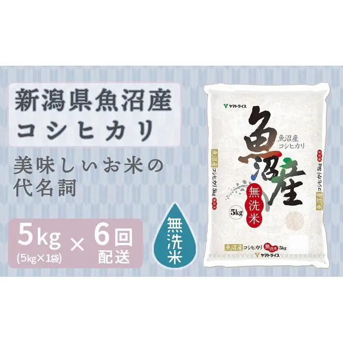 【定期便全6回】無洗米新潟県魚沼産コシヒカリ5kg（受注の翌月から毎月配送）