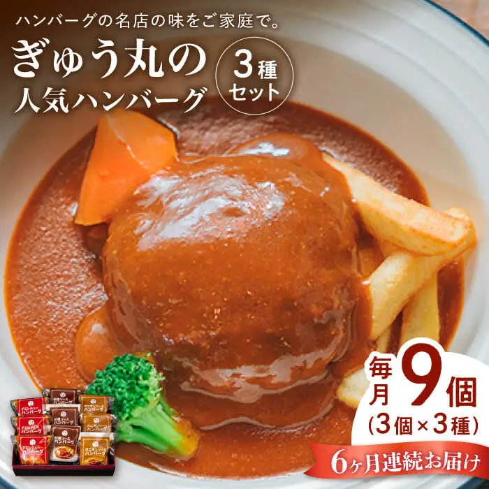 【定期便】 ハンバーグ ぎゅう丸ハンバーグ3種総計54個 NCQ102 全6回