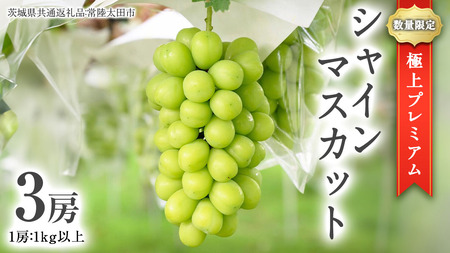 【2026年9月中旬発送開始】極上 プレミアム シャインマスカット ３房 ( １房 1kg 以上) 数量限定 【茨城県共通返礼品／常陸太田市】 桧山果樹園 農家直送 桧山果樹園 農家直送 フルーツ  甘い 直送 茨城 限定 ギフト ぶどう シャインマスカット 旬 贈答 果物 [DU017sa]