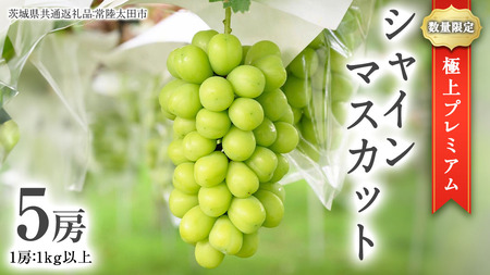 【2026年9月中旬発送開始】 極上 プレミアム シャインマスカット ５房 ( １房 1kg 以上) 数量限定 【茨城県共通返礼品／常陸太田市】 桧山果樹園 農家直送 桧山果樹園 農家直送 フルーツ  甘い 直送 茨城 限定 ギフト ぶどう シャインマスカット 旬 贈答 果物 [DU018sa]