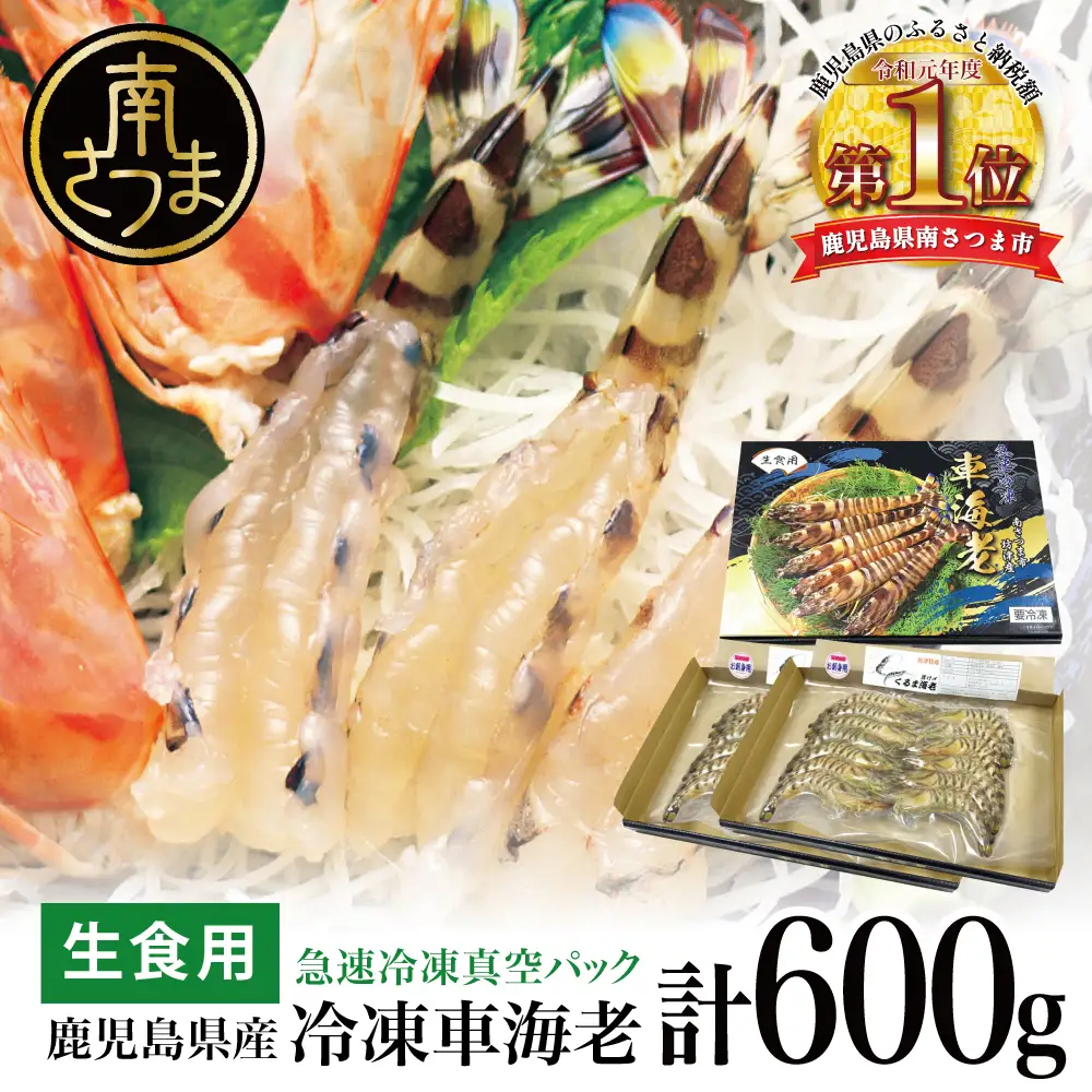 【鹿児島県産】活〆 冷凍車海老 600g（生食用） えび クルマエビ 車えび 海鮮 海産物 刺身 寿司 天ぷら 塩焼き エビフライ 急速冷凍 冷凍 鹿児島 坊津 南さつま市