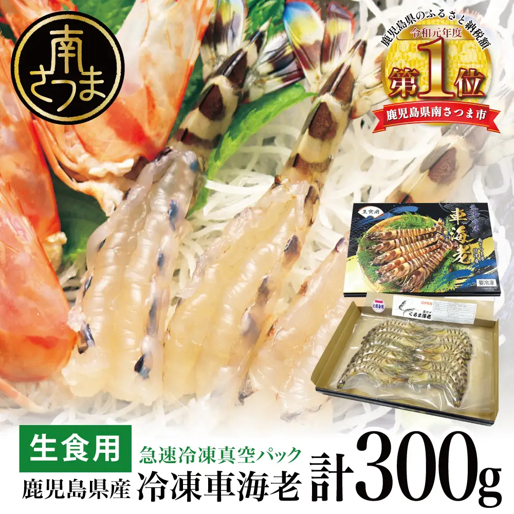 【鹿児島県産】活〆 冷凍車海老 300g（生食用） えび クルマエビ 車えび 海鮮 海産物 刺身 寿司 天ぷら 塩焼き エビフライ 急速冷凍 冷凍 鹿児島 坊津 南さつま市