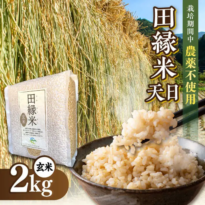【先行受付中】 田縁米（でんえんまい）・天日（てんじつ）玄米 2kg 【2026年12月上旬順次発送】 糸島市 / NPO法人田縁プロジェクト [ATM002] 米 お米