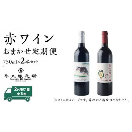 【 3ヶ月隔月 】 赤ワイン おまかせ 定期便 2本セット 飲み比べ 茨城県産 牛久醸造場 厳選 750ml × 2本