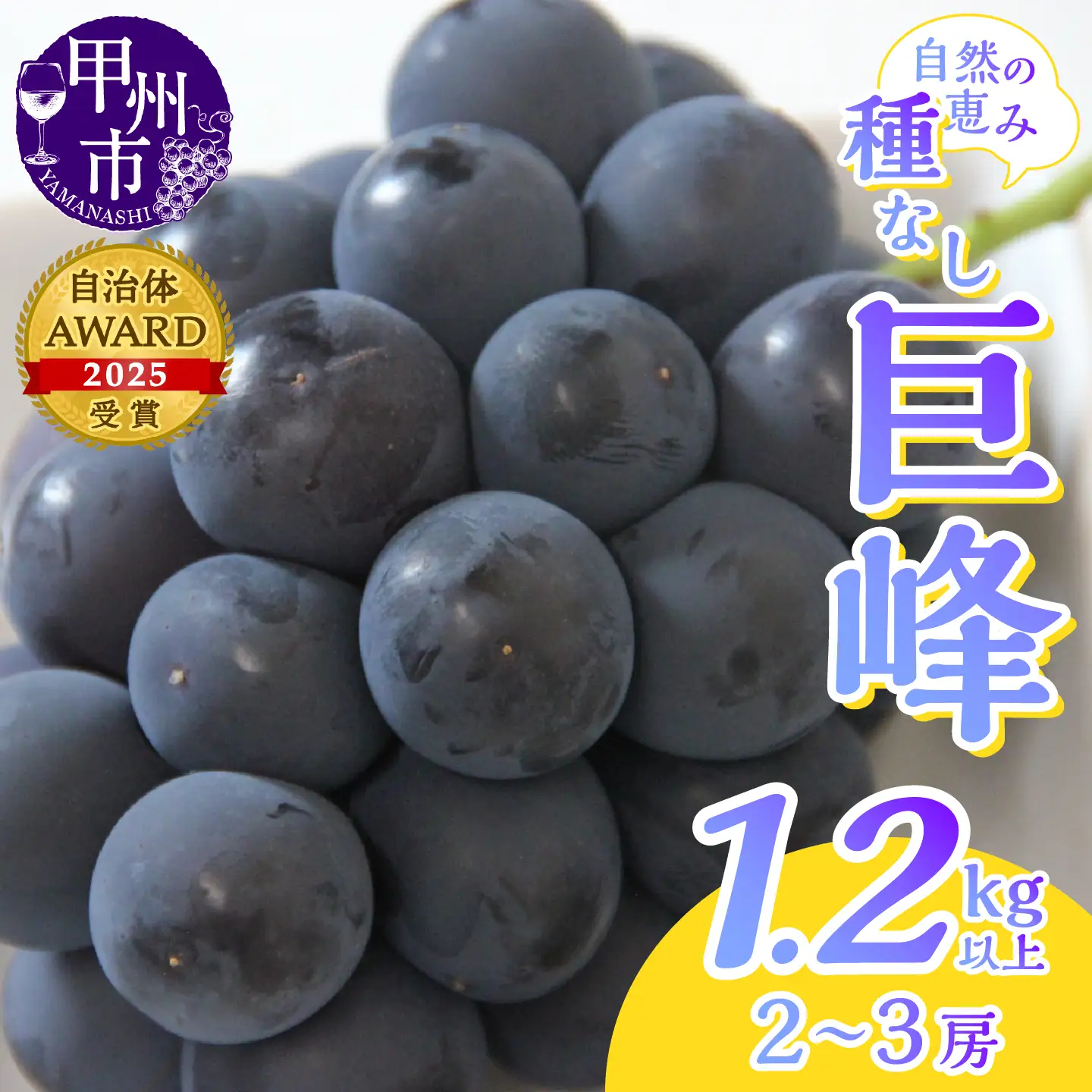 産地直送 山梨自然の恵み！種なし巨峰 2～3房 1.2kg以上【2026年発送】（LKS）B-851 巨峰 フルーツ