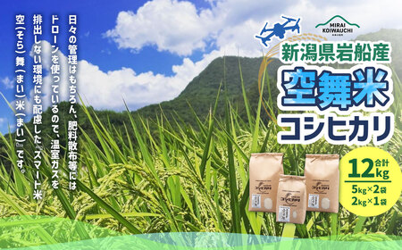 【令和7年産米】空舞米 新潟県村上市岩船産 コシヒカリ 精米 12kg　1063001