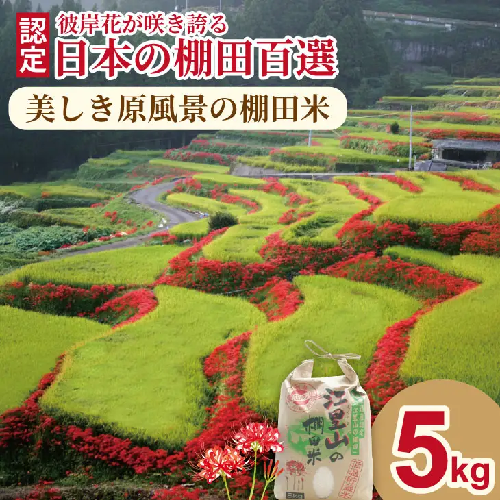 佐賀県遺産認定「江里山の棚田」のお米（5kg） 令和7年産 B150-019