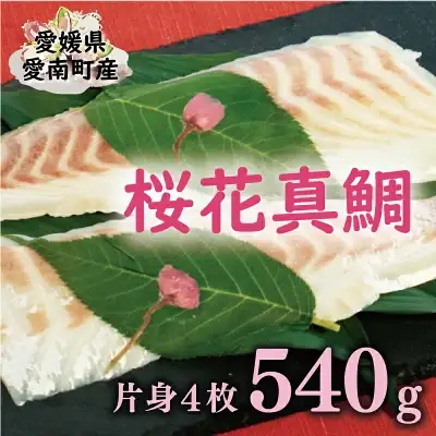 桜花 真鯛 4柵 540g 真鯛