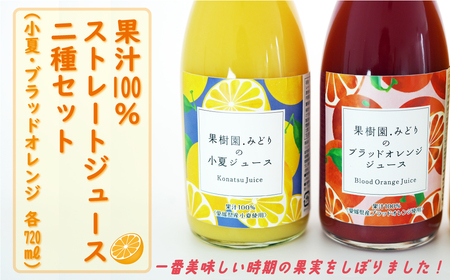 【 先行予約 】 みかん 果汁 100% ストレート ジュース 720ml 2種 セット 小夏 ブラッドオレンジ 数量限定 期間限定 高級 贈答 ギフト プレゼント 先行 事前 予約 12000円 母の日 愛南 愛媛 国産 フルーツ 果物 柑橘 産地直送 農家直送 特産品 完熟 濃厚 人気 限定 甘い ジューシー 新鮮 果実 さわやか 果樹園みどり