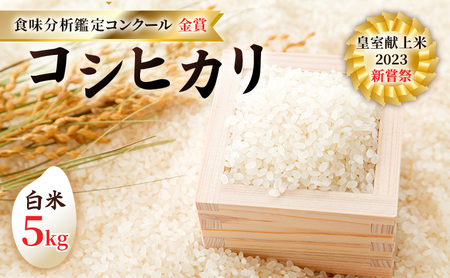 令和8年産 先行予約 コシヒカリ 白米5kg 皇室献上米 米・食味分析鑑定コンクール 金賞 受賞 世界最高米 選定 お米 コシヒカリ