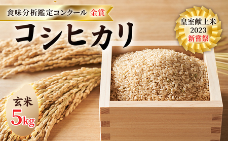 令和8年産 先行予約 コシヒカリ 玄米5kg 皇室献上米 米・食味分析鑑定コンクール 金賞 受賞 世界最高米 選定 お米 コシヒカリ 