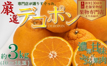 デコポン 柑橘 みかん 濃厚 デコポン【約3kg】【先行予約】