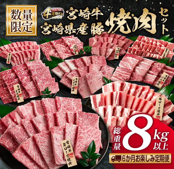 数量限定 6か月 お楽しみ 定期便 宮崎牛 豚肉 焼肉 セット 総重量8kg以上_N8-25