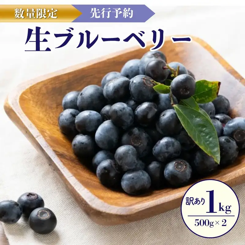 【数量限定20】【訳あり】無選別 生ブルーベリー500g×2（2026年7月上旬～発送）