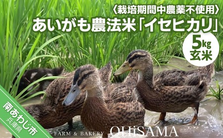 令和7年産　イセヒカリ　５kg　玄米〈栽培期間中農薬不使用　あいがも農法米〉