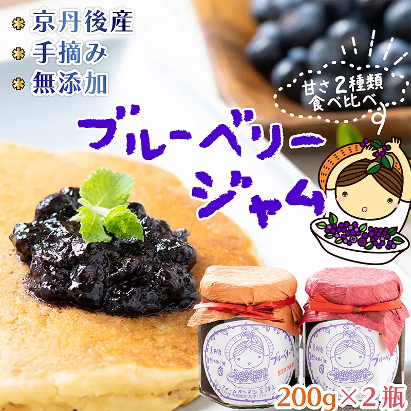 ジャム ブルーベリー200g2個 ジャム