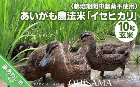 令和7年産　イセヒカリ　10kg（5kg×2）　玄米〈栽培期間中農薬不使用　あいがも農法米〉