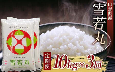 山形県産 雪若丸 10kg（5kg×2） 全3回 F2Y-3923