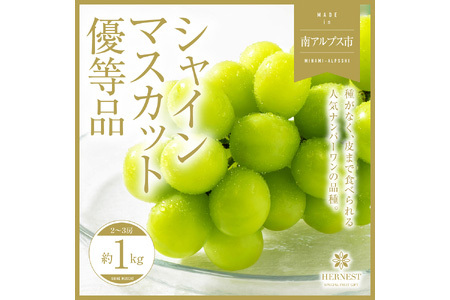 ＜2026年発送先行予約＞山梨県南アルプス市産シャインマスカット 優等品 約1ｋｇ 2～3房 ALPAH008