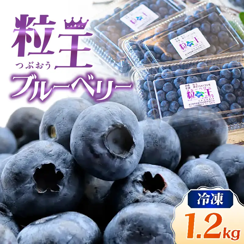 【 先行予約 】141-3 粒王 冷凍 ブルーベリー 1.2kg（400g×3P） KN030-002 果物