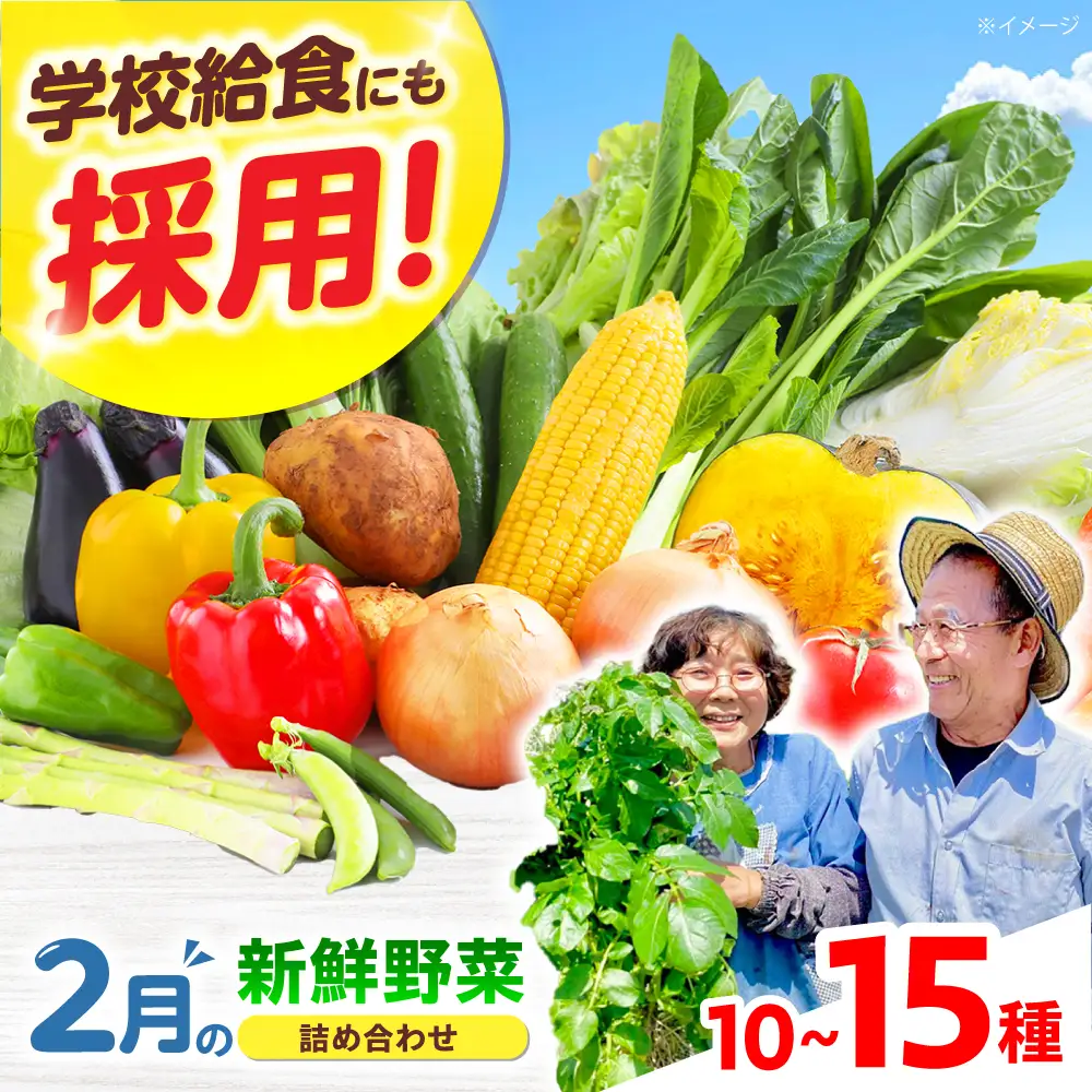 高槻野菜おまかせ詰め合わせセット 2月（10種~15種）[AOCS008] 野菜セット