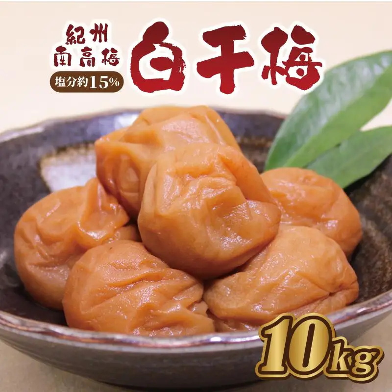 梅干し　白干梅10kg　塩分約15％【和歌山産】印南町　人気