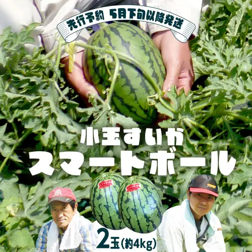 スイカ 小玉スイカ スマートボール 2玉 2027年 堤園芸