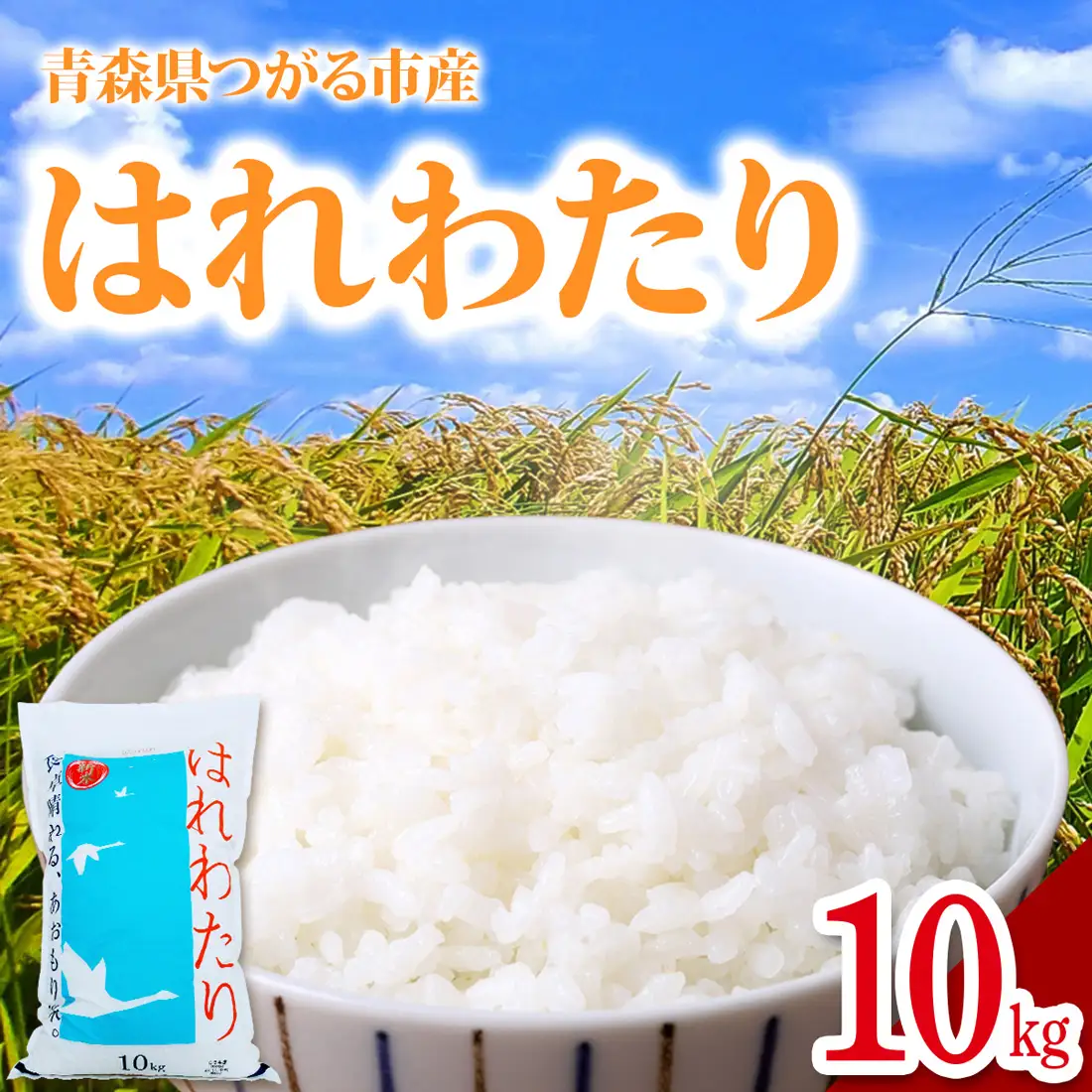 令和7年産 はれわたり 10kg 白米 [0900]