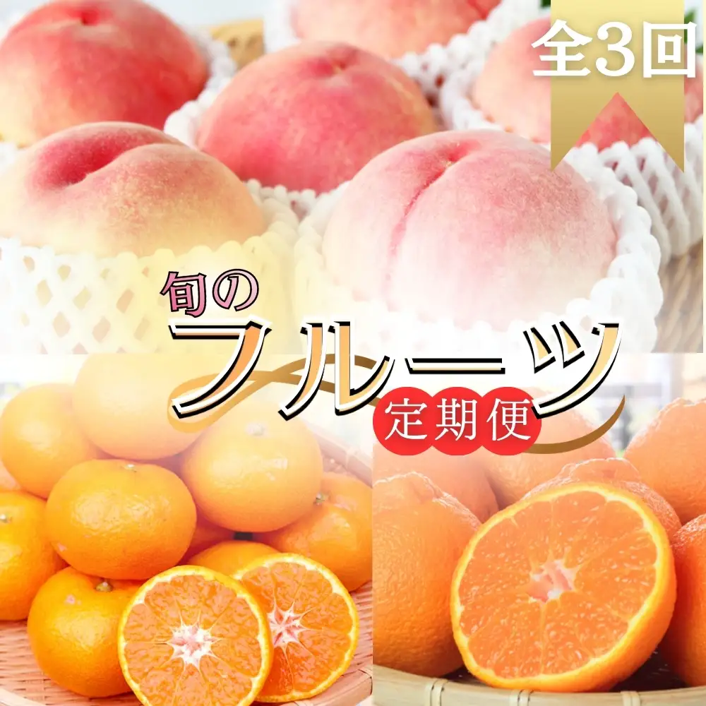 【全3回定期便】旬のフルーツ定期便 【田村みかん /  紀州デコ(不知火) /  桃】 ～和歌山の旬をお届け～ / みかん ミカン 温州みかん 有田みかん 不知火 デコポン 桃 もも モモ 柑橘 フルーツ 果物 くだもの 旬 人気 甘い 定期便【tkb313】