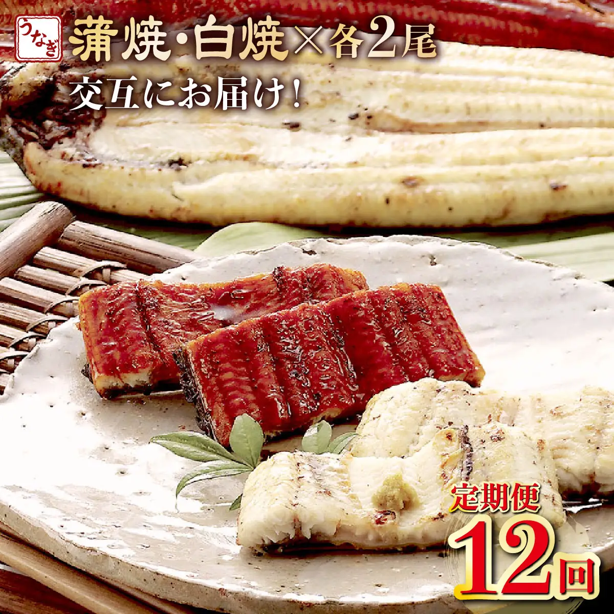 うなぎ蒲焼き 2尾 定期便 12回 うなぎ yj060