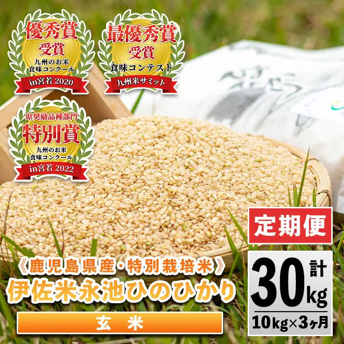 isa538 【定期便】令和6年産 特別栽培米 永池ひのひかり玄米(計30kg・10kg×3ヶ月)鹿児島 永池 お米 米 玄米 伊佐米 九州米サミット 食味コンテスト 最優秀賞受賞 ヒノヒカリ【エコファーム永池】