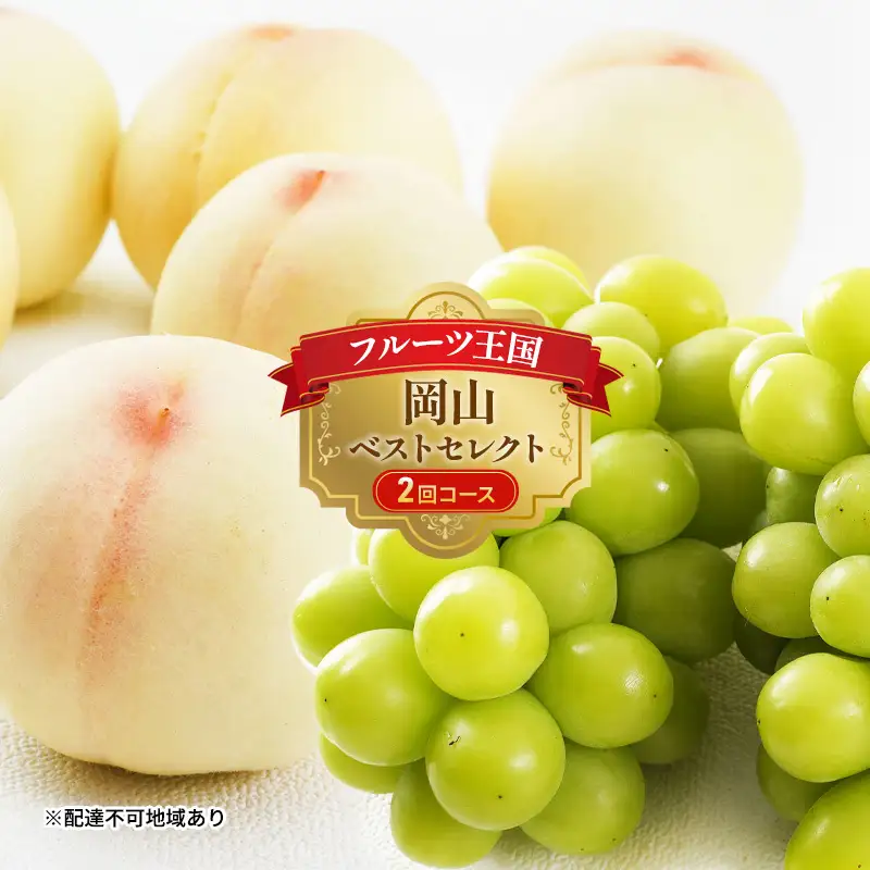フルーツ定期便 岡山 桃・ぶどう・マスカット 岡山県産 フルーツ定期便【2回コース】【先行予約】