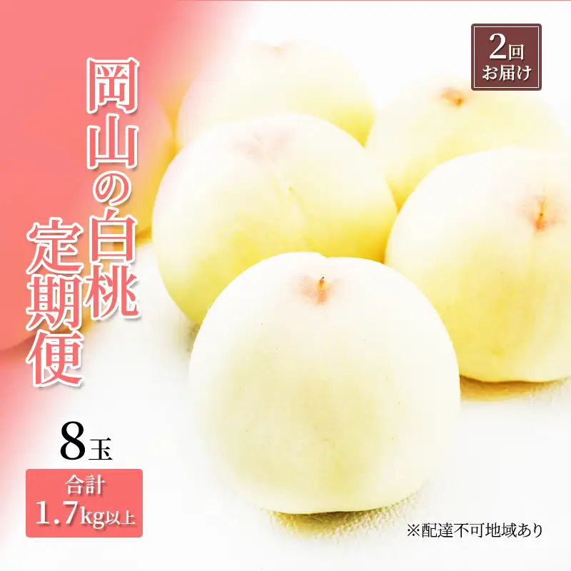 白桃 定期便 化粧箱入り 岡山県産 白桃【8玉 1.7kg以上×2回】【先行予約】