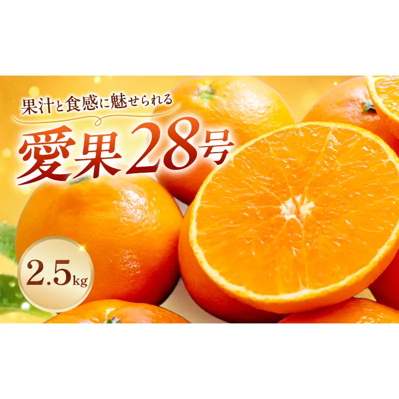 愛果28号 約2.5kg 東温市産 サイズお任せ 「 紅まどんな 」の同一品種（品種名： 愛媛果試28号 ） 今が旬 農園直送 みかん 人気 数量限定 先行予約 愛媛みかん かんきつ 愛媛県 フルーツ 果物 くだもの 甘い 