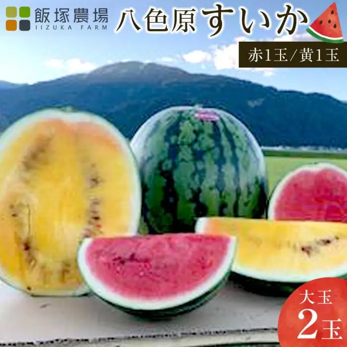 【夏季限定】飯塚農場産の八色原すいか　大玉2玉（赤1玉・黄1玉）セット【西瓜 スイカ すいか 訳あり 大玉 季節限定 果物 フルーツ ギフト 名産地 産地直送 シャキシャキ 厳選 デザート 新潟県】【2026年7月下旬より順次発送予定】