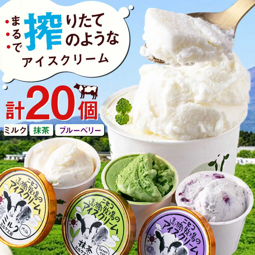 アイス ミルク工房 20個 [AJAI012] アイスクリーム 夏