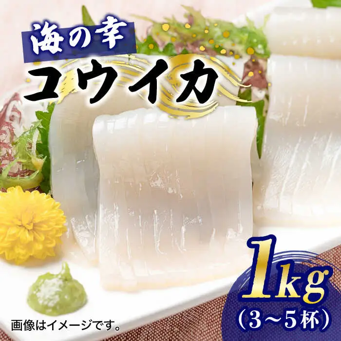 【先行予約】【2027年3月下旬以降順次発送】豊前海産「 コウイカ 」約1kg (3-5杯) [ABCB001] イカ いか 刺身 烏賊 