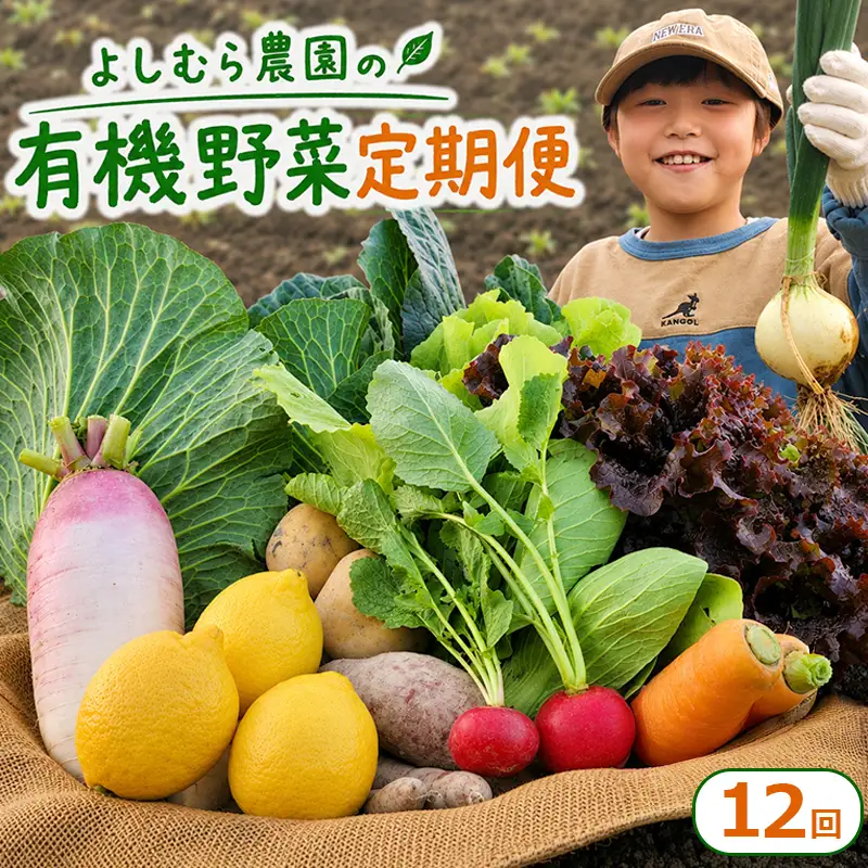 【定期便12回】 有機野菜 オーガニック 野菜セット