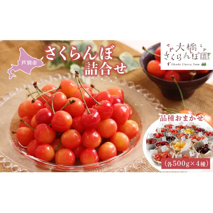 さくらんぼ 4種 500g 品種お任せ セット 詰め合わせ
