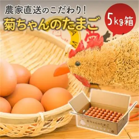 菊ちゃんのたまご5kg箱【配送不可地域：離島】【1185768】