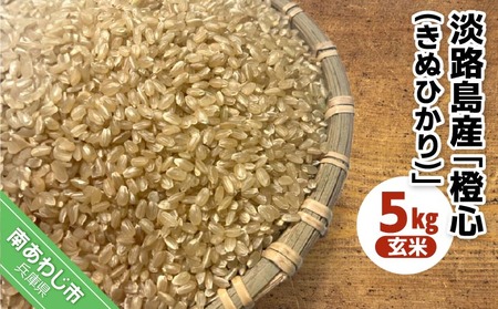 令和７年度産 新米 淡路島産「橙心(きぬひかり)」　玄米5kg　◆配送9月下旬～