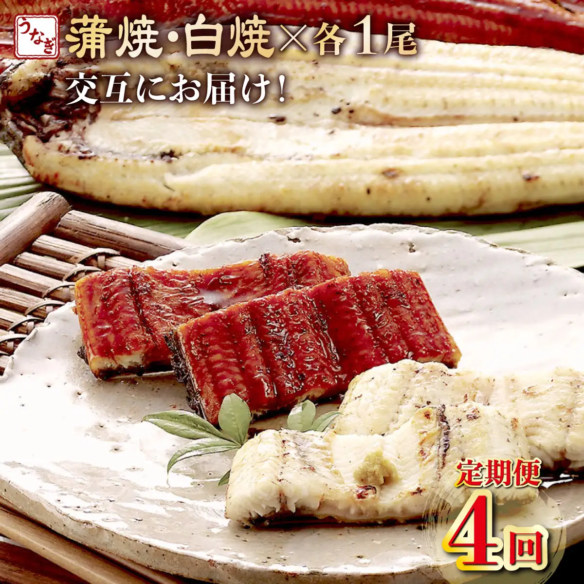 うなぎ蒲焼き 1尾 定期便 4回 うなぎ白焼き yj055