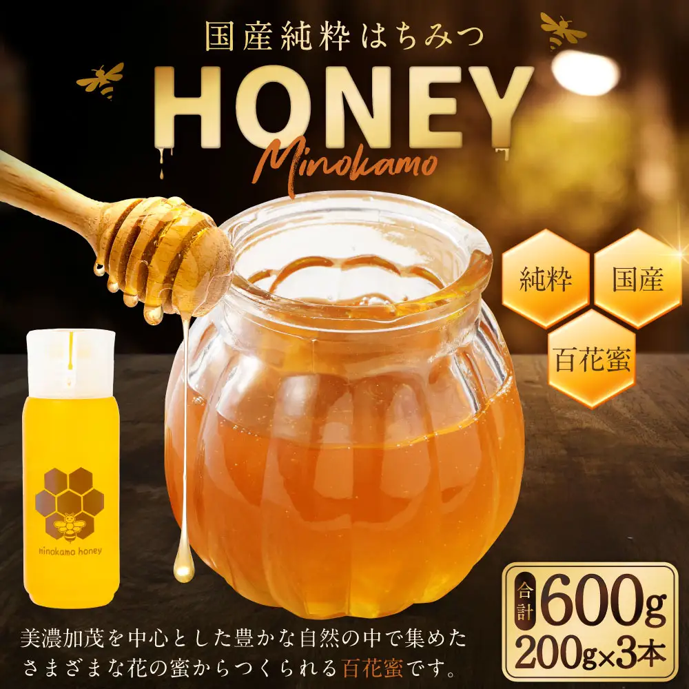 MINOKAMO HONEY はちみつ 3本（200g×3）