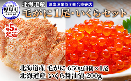 北海道産毛がに 約650g×1尾 いくら 200g セット