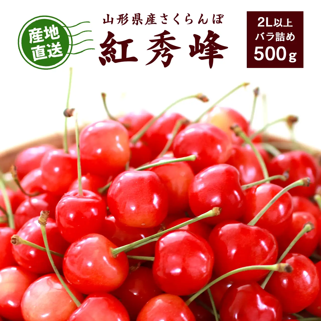 《先行予約》令和9年産 山形県産 こだわり農家の 新鮮 さくらんぼ 紅秀峰 500g 2L以上 秀品 【2027年6月中旬頃から6月下旬頃発送予定】※ 配送不可 沖縄・離島　020-A-JF022