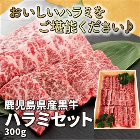 鹿児島県産黒毛和牛ハラミ300g【配送不可地域：離島】【1185809】