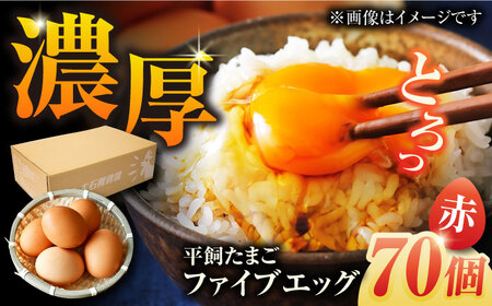 【箱入り】平飼たまご ファイブエッグ M-Lサイズ 70個 / 5EGG 卵 赤玉子五島市 / 五島列島大石養鶏場 [PFQ009]  玉子 タマゴ 鶏卵 希少 五島列島