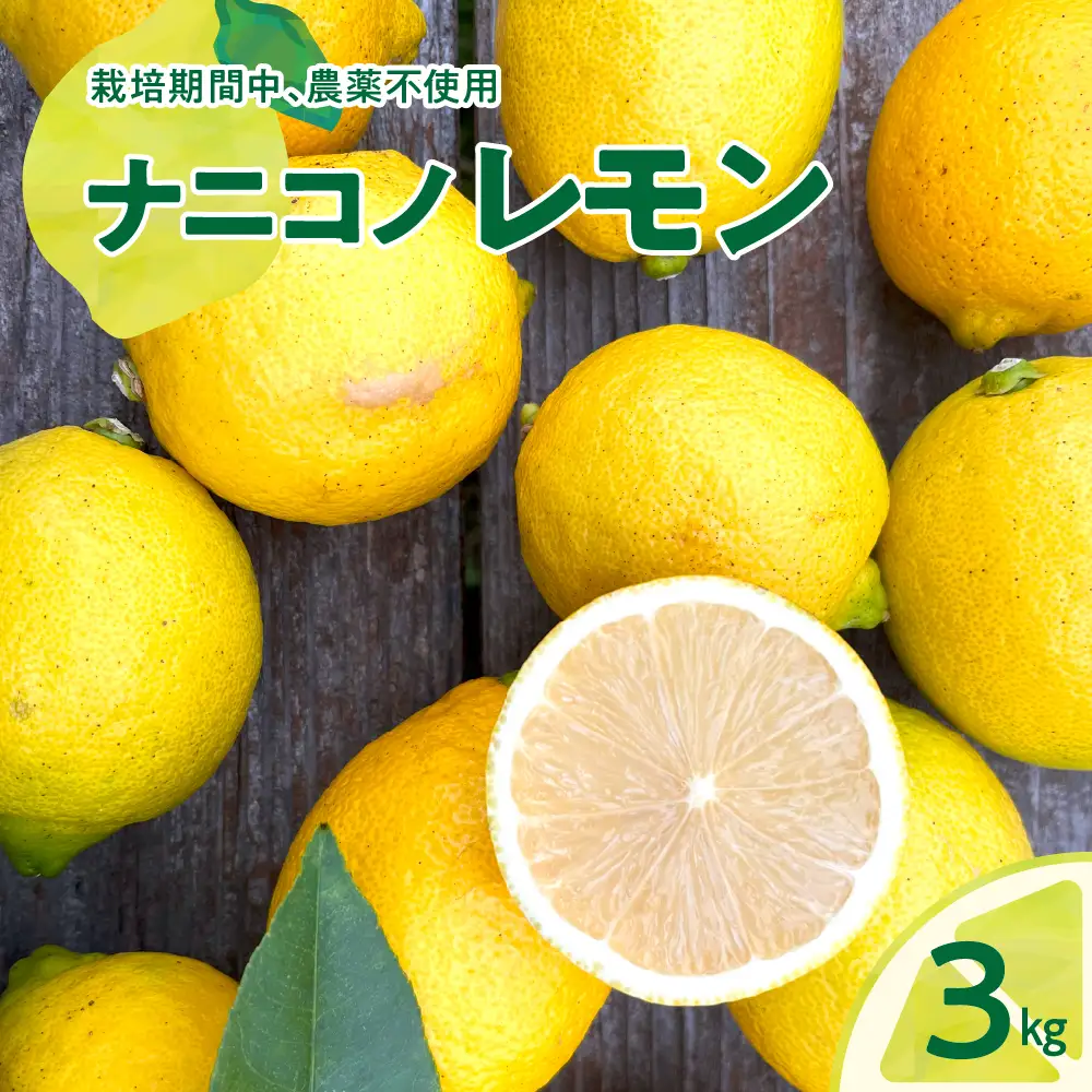 【先行受付】【2026年11月下旬～発送】ナニコノレモン 3kg ku149-001-26