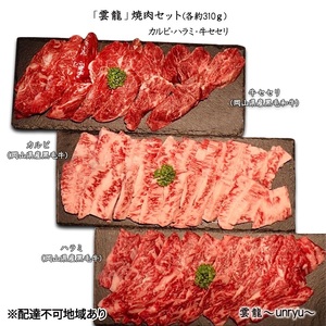 黒毛和牛 焼肉 セット 合計約930g カルビ ハラミ 牛セセリ 雲龍焼肉たれ付 岡山県産 黒毛和牛